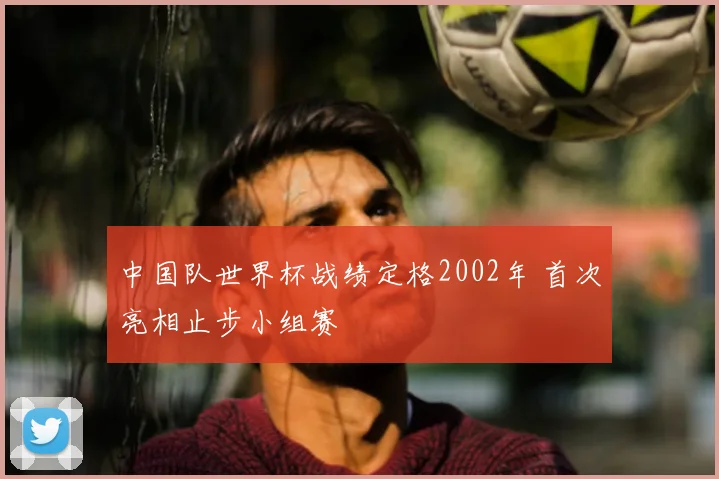 中国队世界杯战绩定格2002年 首次亮相止步小组赛