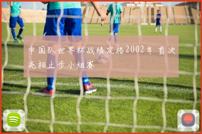 中国队世界杯战绩定格2002年 首次亮相止步小组赛