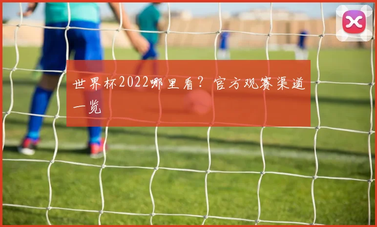 世界杯2022哪里看？官方观赛渠道一览