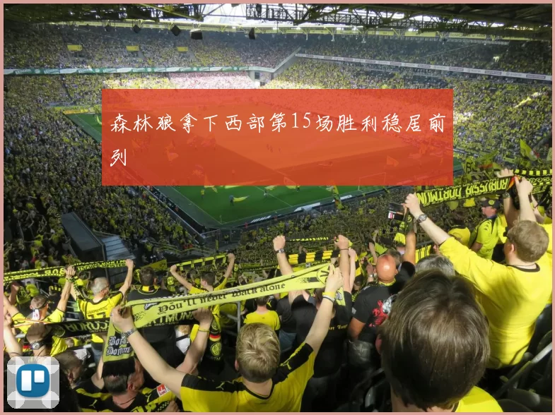森林狼拿下西部第15场胜利稳居前列